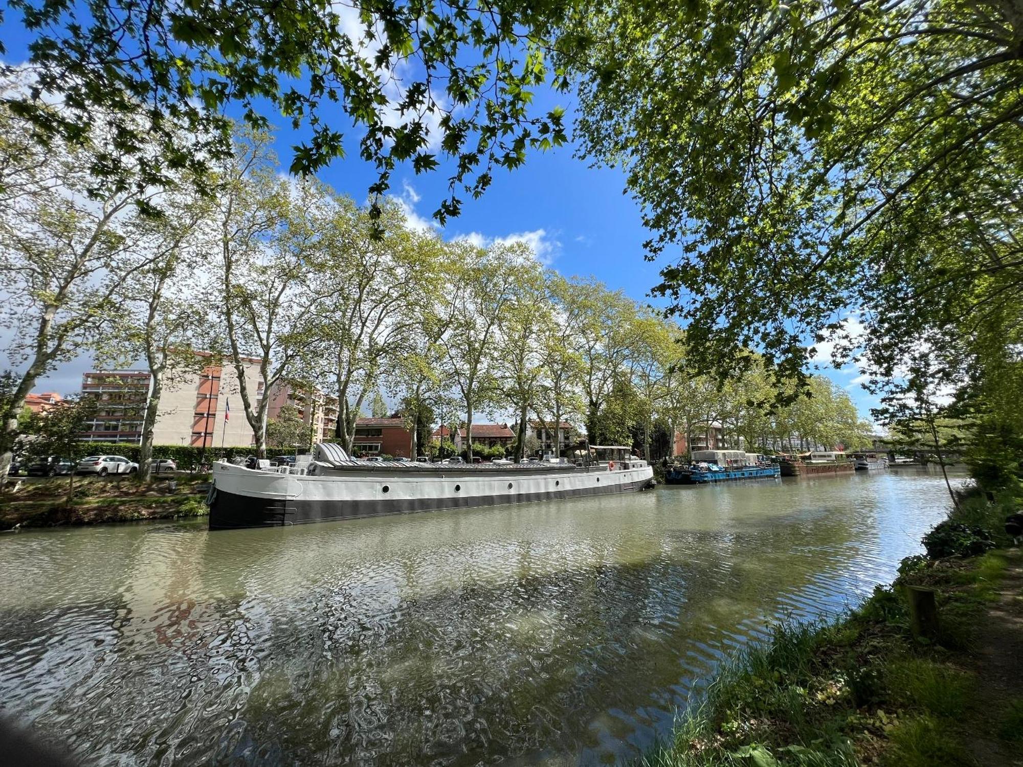 Sunset Duplex - Grand-Rond, Jardin Des Plantes, Centre-Ville, 2 Bdrs 60M2, Ac, Free Public Car Park 200M Away, Netflix - T3 60M2 Avec Clim, Parking Public Gratuit A 200M Toulouse Exterior photo